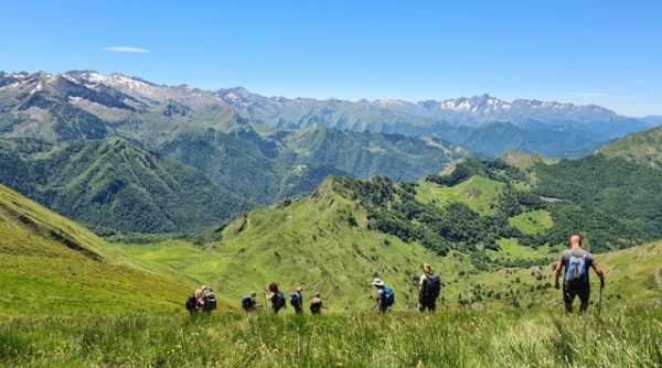 pyreneen